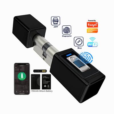 Tuya TTlock App New Design Biometric Fingerprint Euro Standard Smart Lock Cylinder
