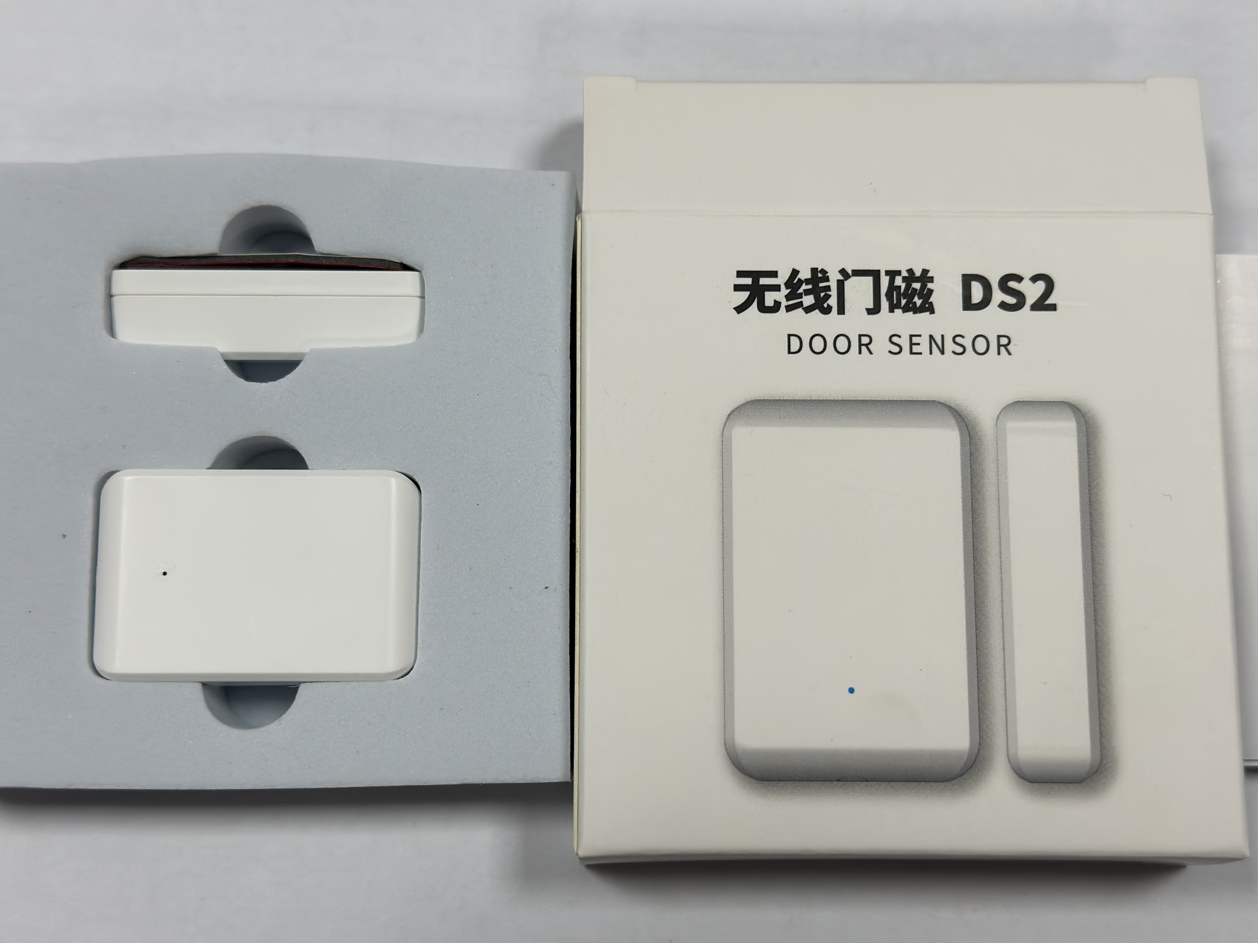 DS2-6.jpg