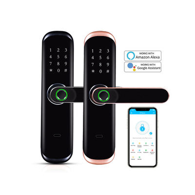 TTlock Biometric Fingerprint Door Lock Electronic Digital Keyless Fechadura Entry Smart Door Lock