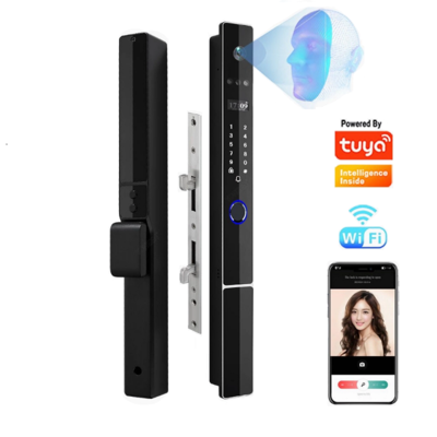 Luxury 3D Face Recognition Aluminium Doors Door Locks Wifi Tuya App Unlock Fully Automatic Unlocking